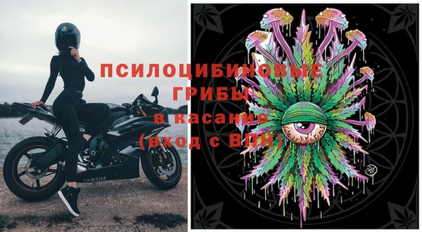 трава Карпинск