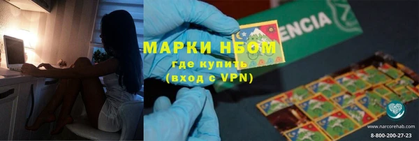 эйфоретик Щигры