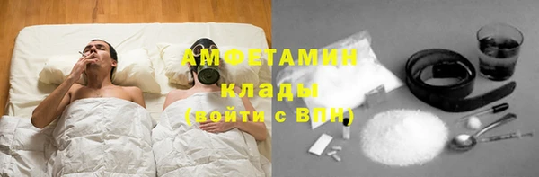 трава Карпинск