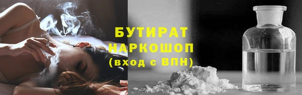 трава Карпинск