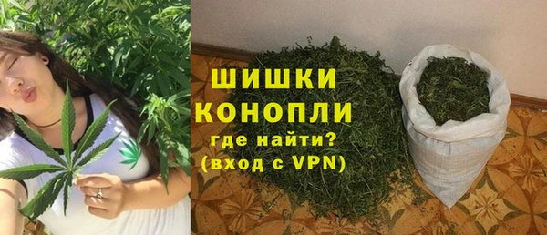 эйфоретик Щигры