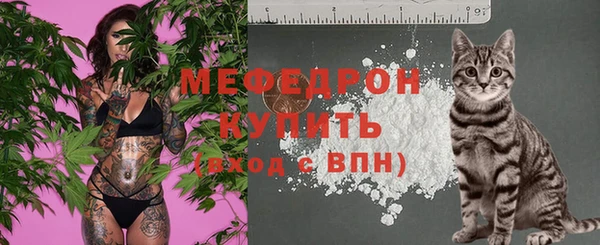 трава Карпинск